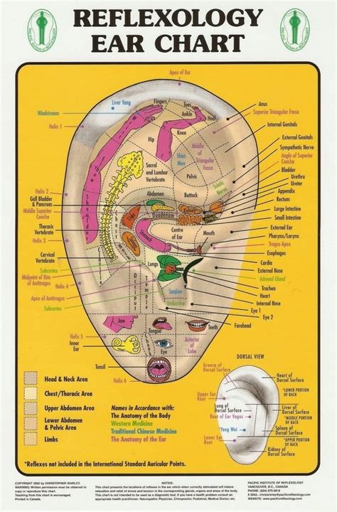 Reflexology for the ear. #vibrational_energy_healing #vibrationalenergyhealing Reflexology Chart ...
