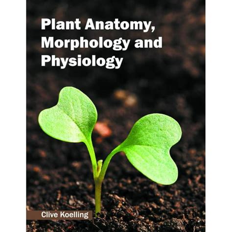 Plant Anatomy, Morphology and Physiology (Hardcover) - Walmart.com - Walmart.com