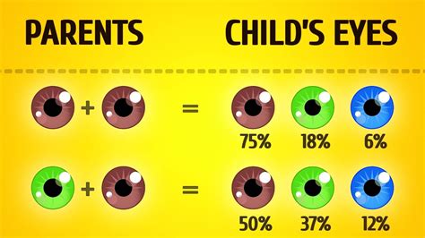 How To Predict How Your Baby Will Look – Baby tickers