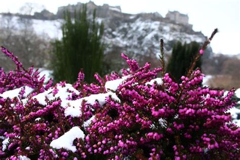 15 Beautiful Photos of Edinburgh Covered in Snow - Grumpy Camel