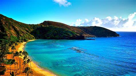 4K Hawaii Wallpapers - Top Free 4K Hawaii Backgrounds - WallpaperAccess