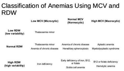 RDW Blood Test - What is?, What Does it Mean, High, Low, Normal, Calcul