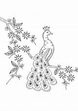 Free & Easy To Print Peacock Coloring Pages  Tulamama sketch template