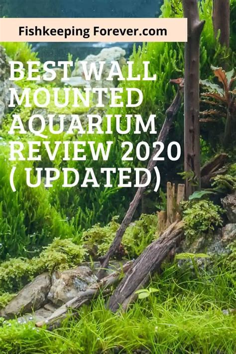Best Wall Mounted Fish Tank Review 2022 ( Updated ) – Fishkeeping Forever