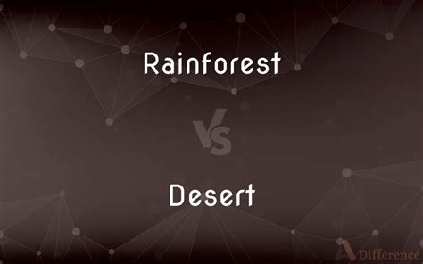 Rainforest vs. Desert — What’s the Difference?