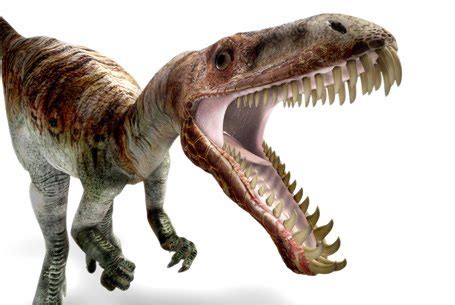 Rareresource: Teeth Suggest Dinosaur Was Venomous