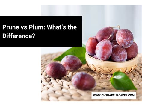 Prune vs Plum: What's the Difference? - Oh Snap! Cupcakes