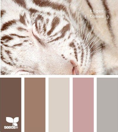 Tiger Color Palette Paint Schemes, Colour Schemes, Color Combos, Paint ...