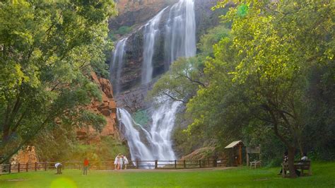 Walter Sisulu National Botanical Garden in Johannesburg, | Expedia