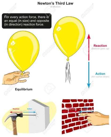 Newton’s Laws Of Motion Diagram