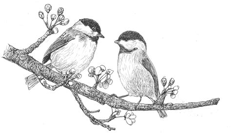 Creative Chaos: Otters, chickadees and Birch trees