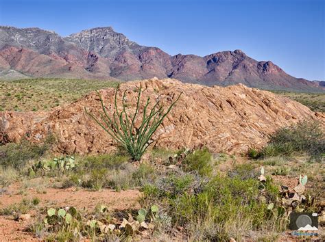 El Paso Photos | Franklin Mountains State Park