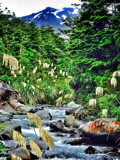 Whakapapa River Photograph by Karen Danenhauer - Fine Art America