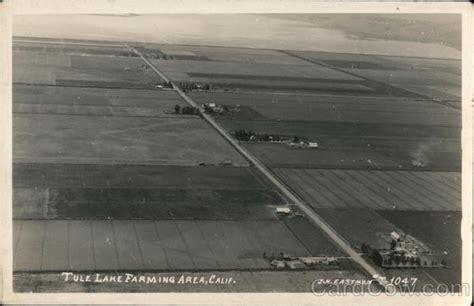 Tule Lake Farming Area California Postcard