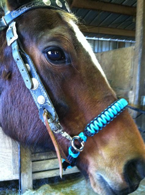 Side pull hackamore bridle attachment with braided chinstrap