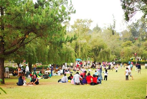 Burnham Park (Baguio City) | Philippines destinations, Baguio, Baguio city