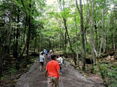 Aokigahara Forest Map