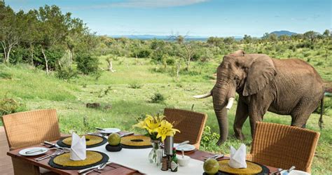 African Safari Holiday Destinations