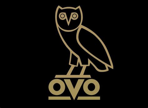 Drake's OVO Fitted Hat | New Era OVO 59FIFTY Fitted Hat