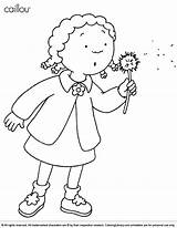 Caillou Coloring Pages  Nation sketch template