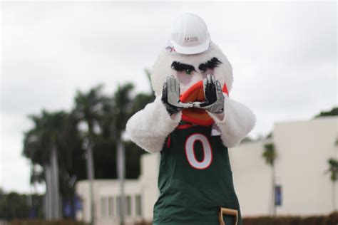 Sebastian the Ibis sees changes, carries on tradition - The Miami Hurricane