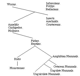 Lamarck and Species Evolution