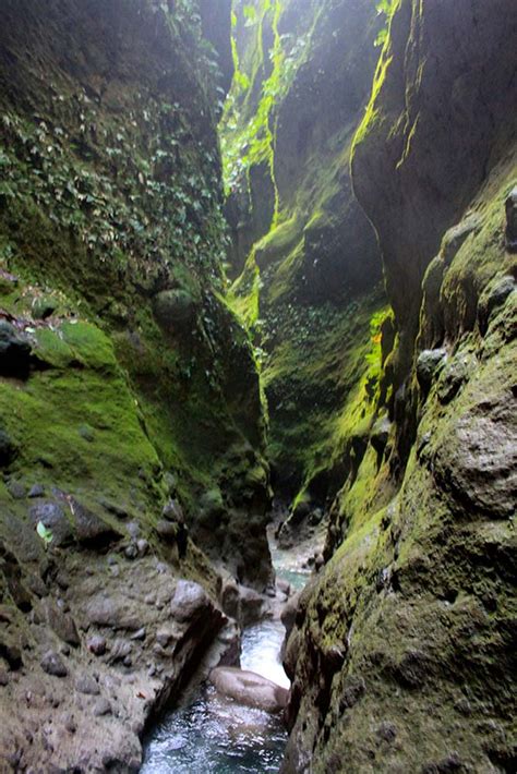 Gorges de la falaise - Martinique Active