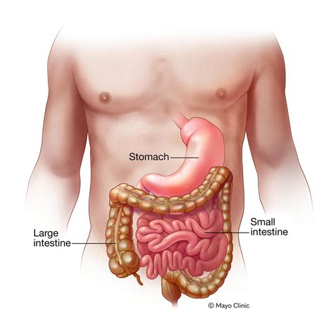 Gastroenteritis Symptoms