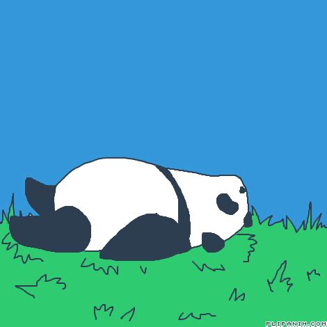 Sleepy Panda Gif