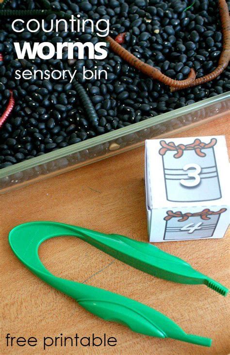 Counting Worms Preschool Math Sensory Bin - Fantastic Fun & Learning | Worms preschool ...