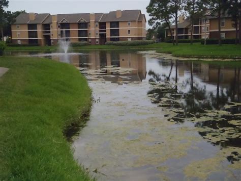 Stormwater Retention and Detention Ponds | Agrarian Land and Pond