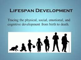 Exploring Lifespan Development Research Paper | My Best Writer