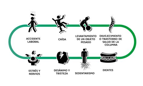 Dolor de espalda: causas, prevención y curiosidades.