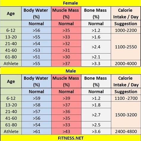 Everything about muscle mass percentage with charts - FITNESS SPORTS | Body fat percentage chart ...