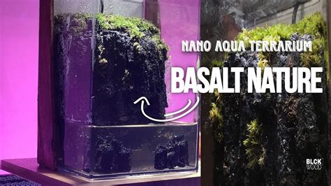 Basalt Nature | Nano Aqua Terrarium | Diy Project - YouTube