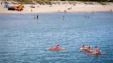 Glenelg beach shark sighting triggers evacuation | Herald Sun