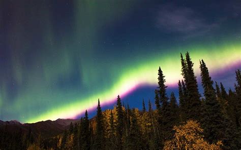 Denali National Park Celebrates 100 Years | Northern lights, Nature ...