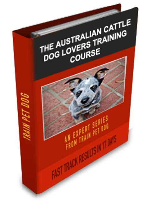 Australian Cattle Dog Training: Learn All About Training Australian Cattle Dogs & Taking Care of ...