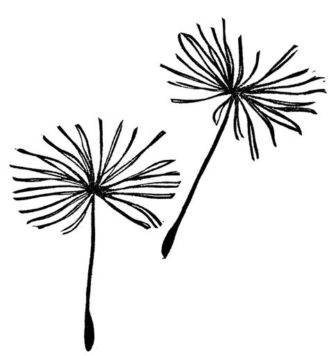 Blowing Dandelion Drawing | Free download on ClipArtMag