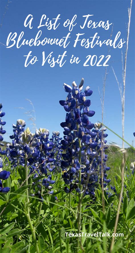 Bluebonnet Festivals in Texas to Visit With Family (Updated 2024) | Texas Travel Talk