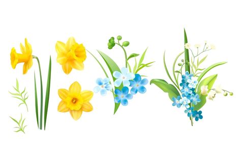 spring flower vector 2968011 Vector Art at Vecteezy