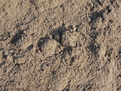 File:A close-up of river sand.JPG - Wikimedia Commons