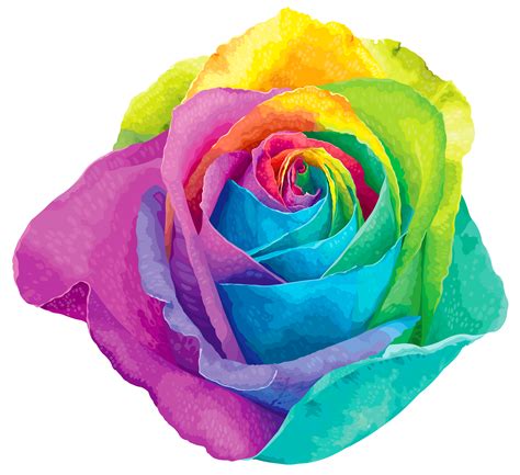 Rainbow rose clipart 20 free Cliparts | Download images on Clipground 2024