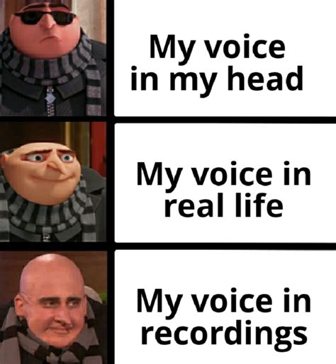 I hate hearing myself in recordings : r/memes