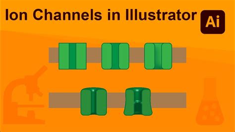 Ion Channels in Adobe Illustrator - YouTube