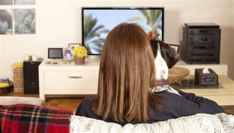 7 Best TV Shows About Dogs Available for Streaming Right Now