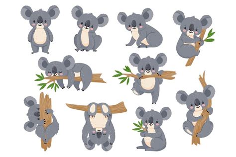 Cute cartoon koala. Lazy koalas with eucalyptus. Little funn