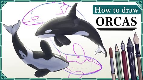 How to draw ORCAS / KILLER WHALES - Step by Step Art Tutorial - YouTube