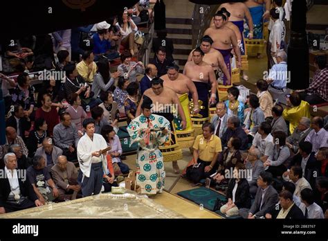 Sumo wrestlers entering sumo wrestling ring for closing ceremony ...