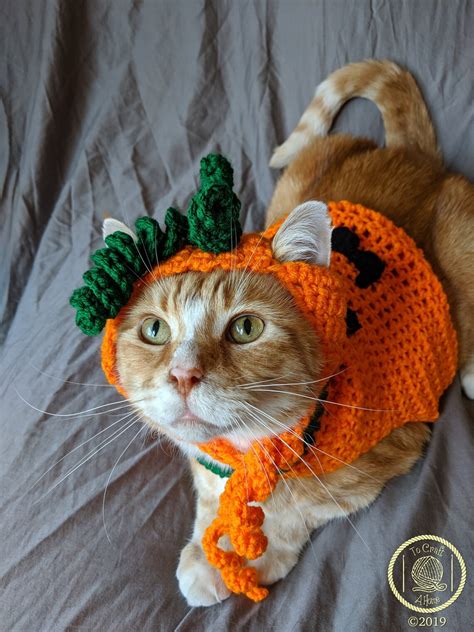 MADE TO ORDER Pumpkin Cat Costume/Sweater with or without | Etsy